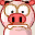 Pig 11